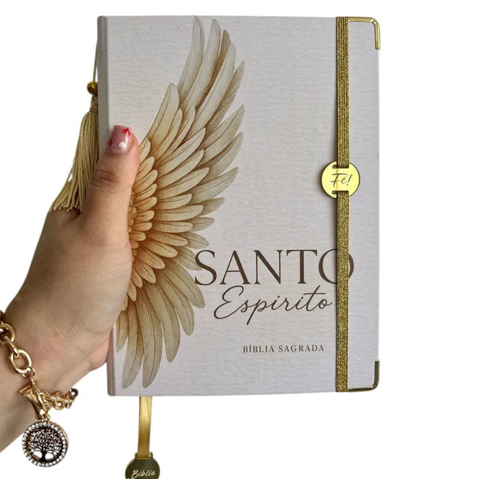 Capa do livro Bíblia Sagrada - Evangélica letra Gigante com abas- Coleção Espírito Santo