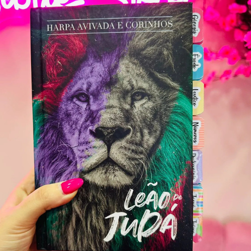 Capa do livro Bíblia Sagrada Leão PB